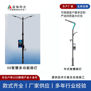 藍(lán)海LED路燈002